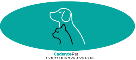 Cadence Pet